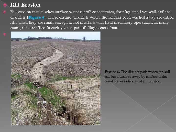  Rill Erosion Rill erosion results when surface water runoff concentrates, forming small yet