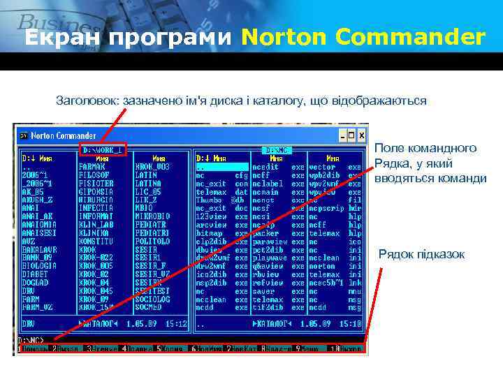 Екран програми Norton Commander Заголовок: зазначено ім'я диска і каталогу, що відображаються Поле командного