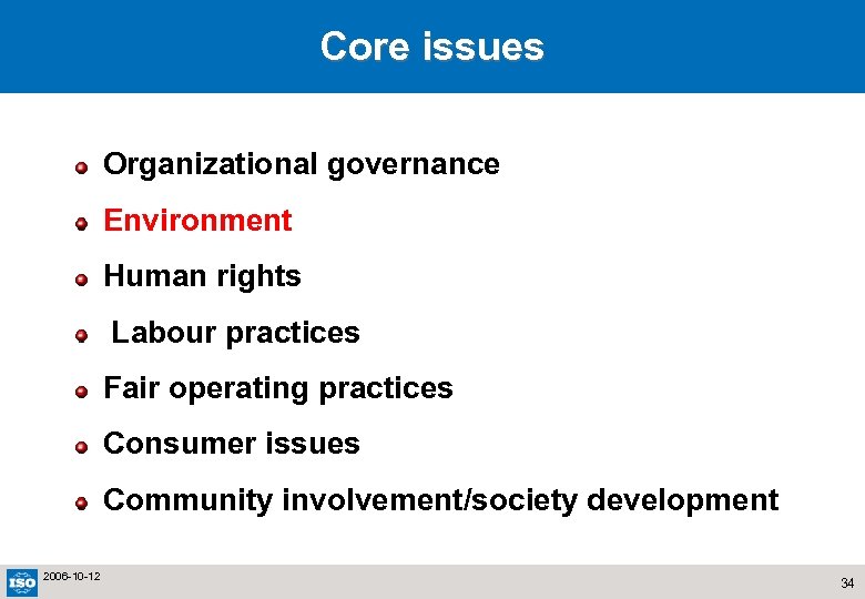 Core issues Organizational governance Environment Human rights Labour practices Fair operating practices Consumer issues