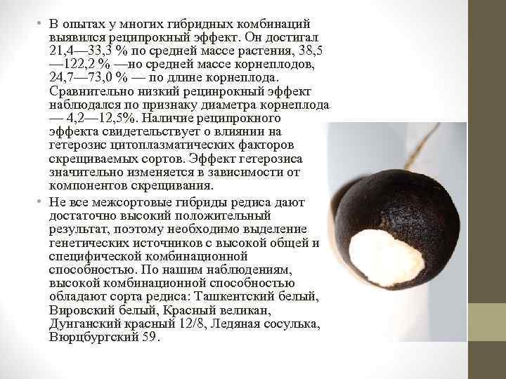  • В опытах у многих гибридных комбинаций выявился реципрокный эффект. Он достигал 21,
