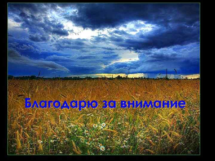 Благодарю за внимание 