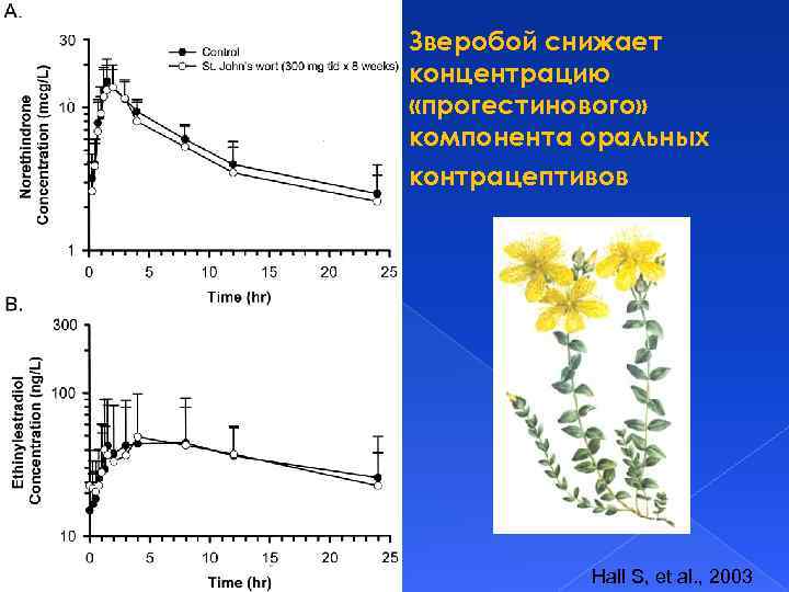 Зверобой снижает концентрацию «прогестинового» компонента оральных контрацептивов Снижение концентрации «прогестиннового» компонента Концентрация «эстрогеннового» компонента