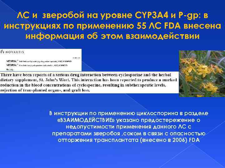ЛС и зверобой на уровне CYP 3 А 4 и P-gp: в инструкциях по
