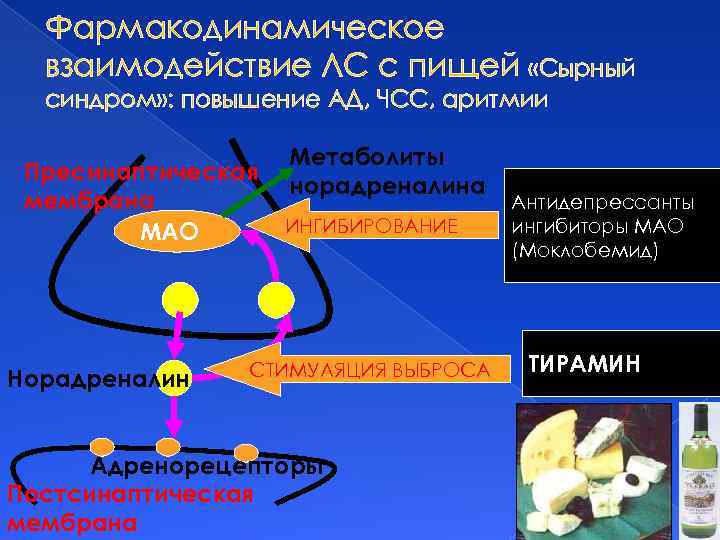 Фармакодинамическое взаимодействие ЛС с пищей «Сырный синдром» : повышение АД, ЧСС, аритмии Пресинаптическая мембрана