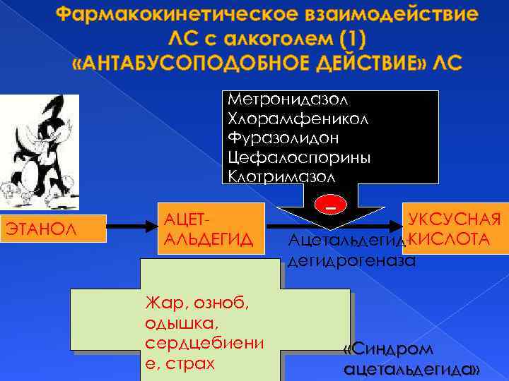 Фармакокинетическое взаимодействие ЛС с алкоголем (1) «АНТАБУСОПОДОБНОЕ ДЕЙСТВИЕ» ЛС Метронидазол Хлорамфеникол Фуразолидон Цефалоспорины Клотримазол