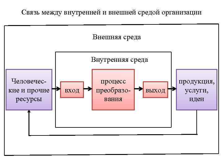 Внутренние связи проекта раскрывает