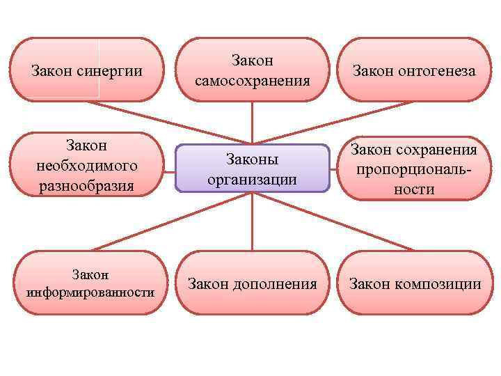 Сущность закона. Закон синергии закон самосохранения. Законы онтогенеза и самосохранения. Закон сохранения организации пример. Закон самосохранения проявляется в организации.