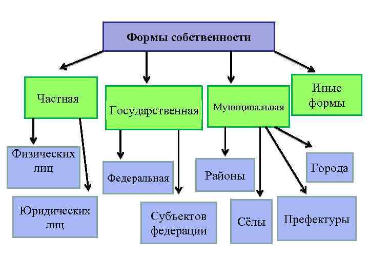 Формы собственности Частная Физических лиц Юридических лиц Муниципальная Государственная Федеральная Районы Субъектов федерации Сёлы