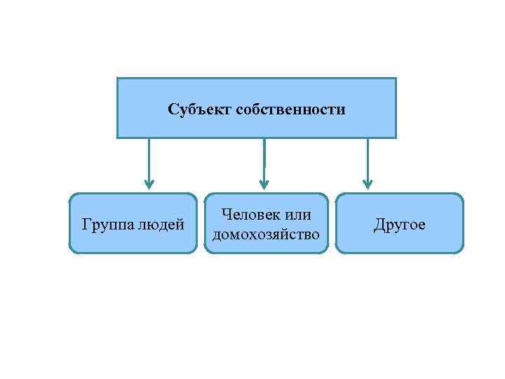 Субъект собственности Группа людей Человек или домохозяйство Другое 