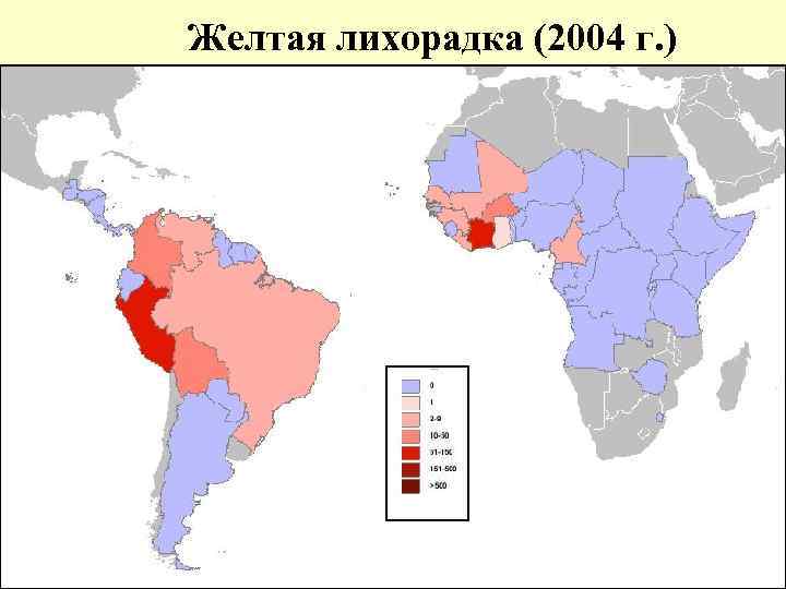  Желтая лихорадка (2004 г. ) 