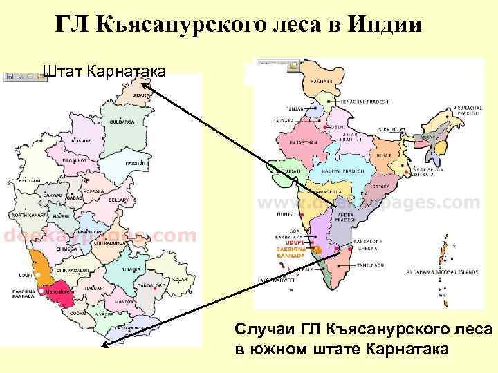 ГЛ Къясанурского леса в Индии Штат Карнатака Случаи ГЛ Къясанурского леса в южном штате