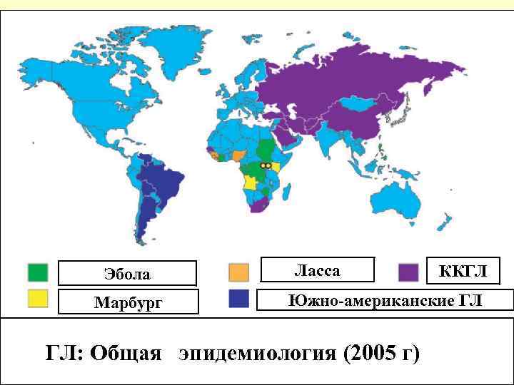 Эбола Марбург Ласса ККГЛ Южно-американские ГЛ ГЛ: Общая эпидемиология (2005 г) 