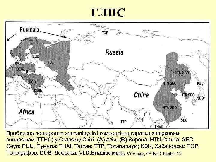 ГЛПС Приблизне поширення хантавірусів і геморагічна гарячка з нирковим синдромом (ГГНС) у Старому Світі.