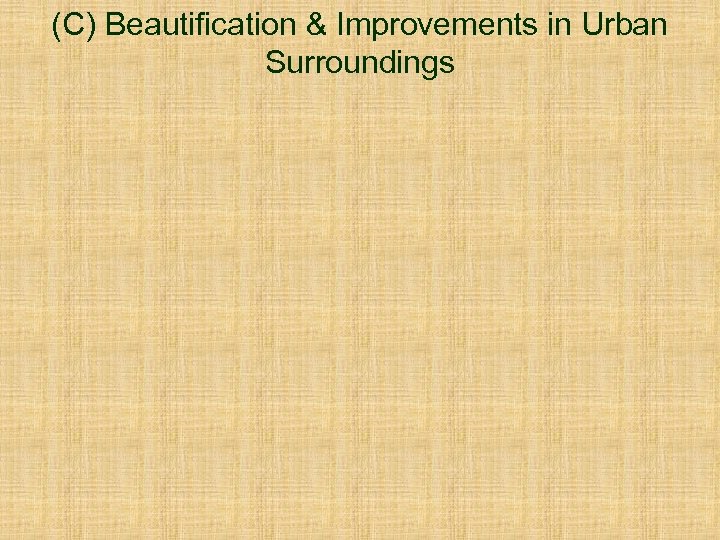 (C) Beautification & Improvements in Urban Surroundings 