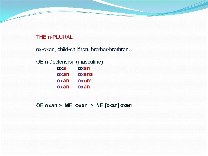 THE n-PLURAL ox-oxen, child-children, brother-brethren… OE n-declension (masculine) oxan oxena oxan oxum oxan OE