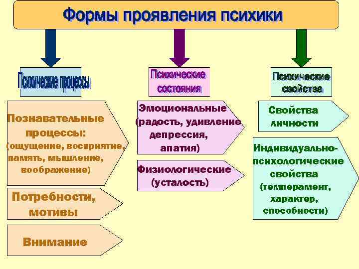 Эмоциональные Познавательные (радость, удивление процессы: депрессия, (ощущение, восприятие, апатия) память, мышление, воображение) Потребности, мотивы
