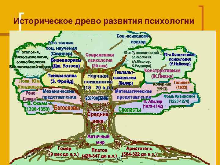 Историческое древо развития психологии 