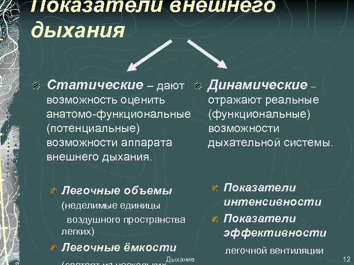 Показатели внешнего дыхания Статические – дают Динамические – возможность оценить анатомо-функциональные (потенциальные) возможности аппарата