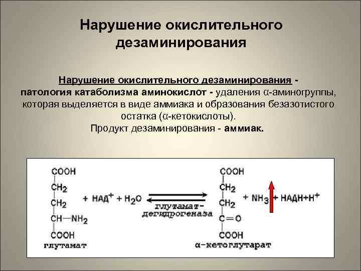 Нарушение окислительного дезаминирования патология катаболизма аминокислот - удаления α-аминогруппы, которая выделяется в виде аммиака