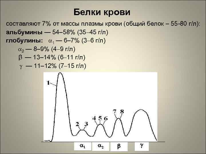 Белки крови составляют 7% от массы плазмы крови (общий белок – 55 -80 г/л):