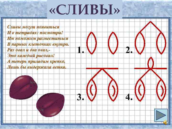  «СЛИВЫ» Сливы могут появиться И в тетрадях: посмотри! Им поможем разместиться В парных