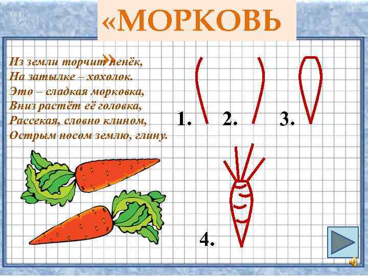  «МОРКОВЬ » Из земли торчит пенёк, На затылке – хохолок. Это – сладкая
