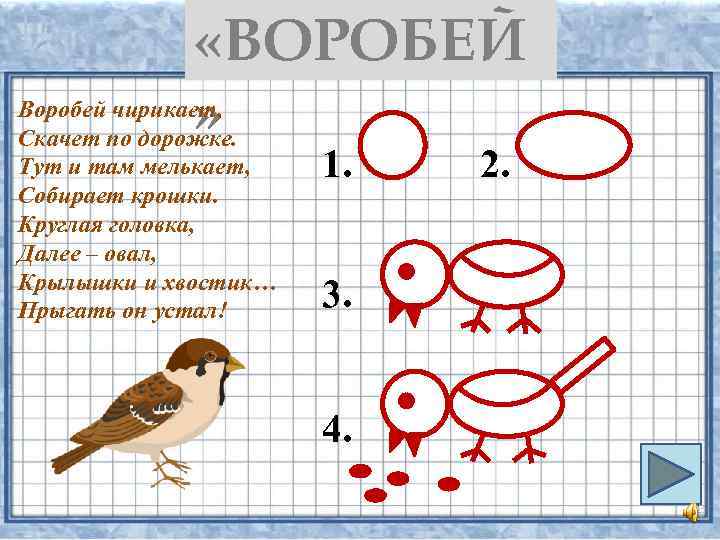  «ВОРОБЕЙ » Воробей чирикает, Скачет по дорожке. Тут и там мелькает, Собирает крошки.