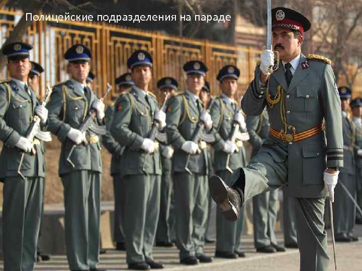 Полицейские подразделения на параде 
