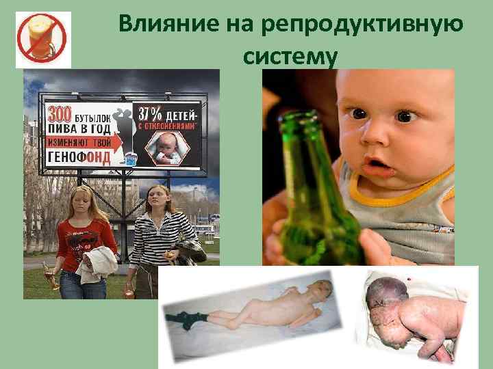 Влияние на репродуктивную систему 