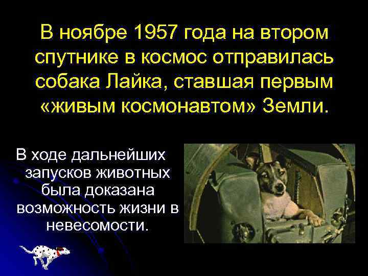 В ноябре 1957 года на втором спутнике в космос отправилась собака Лайка, ставшая первым