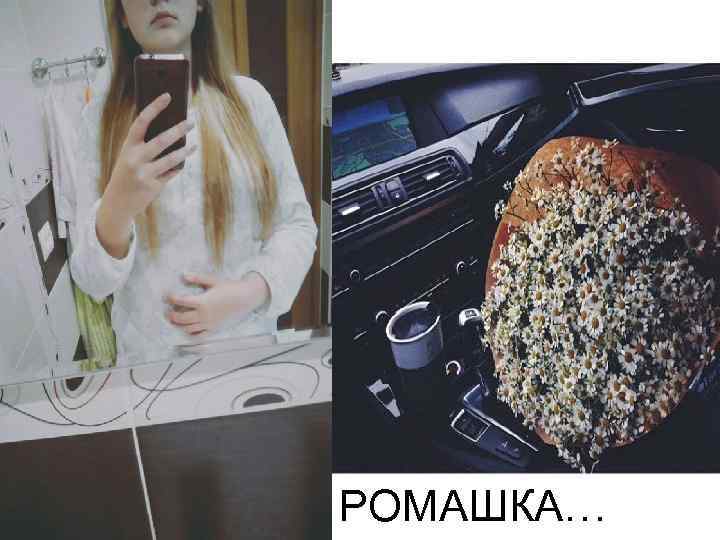 РОМАШКА… 