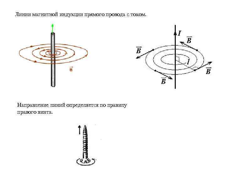 Линии магнитной индукции прямого провода с током. Направление линий определяется по правилу правого винта.