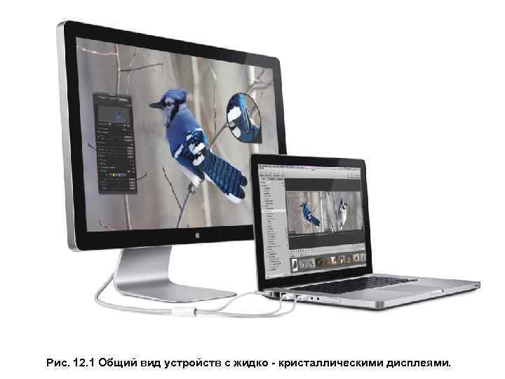  Рис. 12. 1 Общий вид устройств с жидко - кристаллическими дисплеями. 