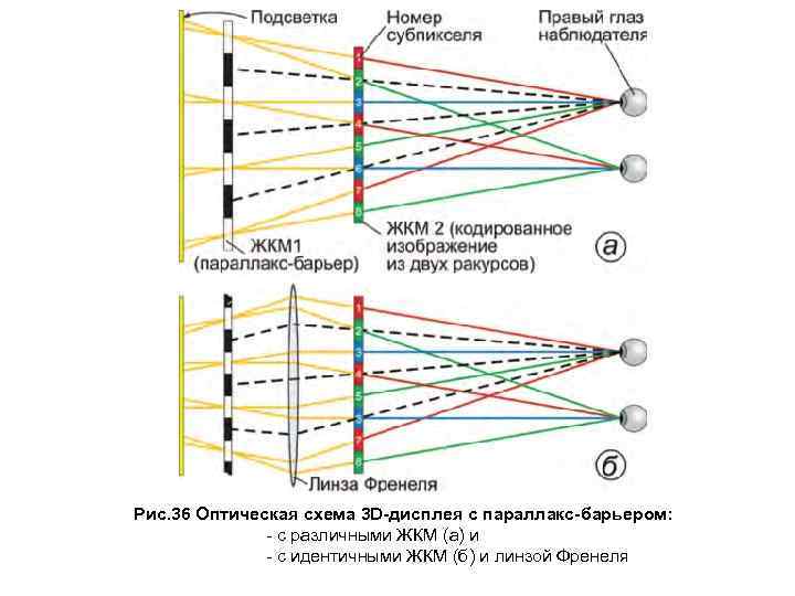  Рис. 36 Оптическая схема 3 D-дисплея с параллакс-барьером: - с различными ЖКМ (а)