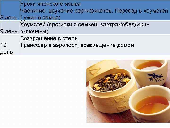 Уроки японского языка. Чаепитие, вручение сертификатов. Переезд в хоумстей 8 день ( ужин в