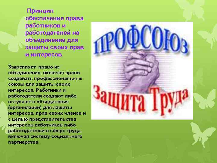  Принцип обеспечения права работников и работодателей на объединение для защиты своих прав и
