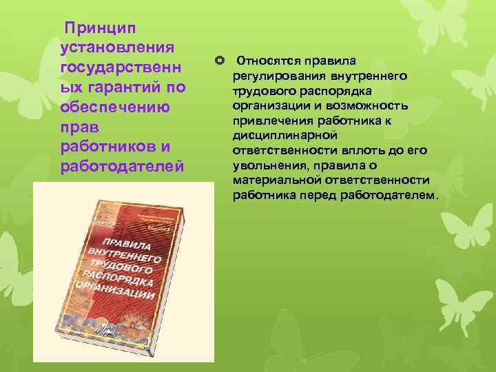  Принцип установления государственн ых гарантий по обеспечению прав работников и работодателей Относятся правила