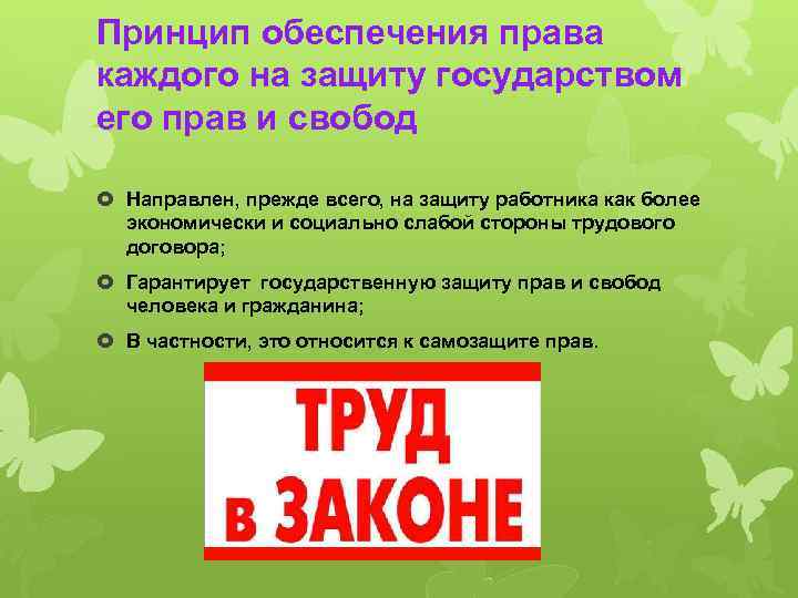 Принцип обеспечения права каждого на защиту государством его прав и свобод Направлен, прежде всего,