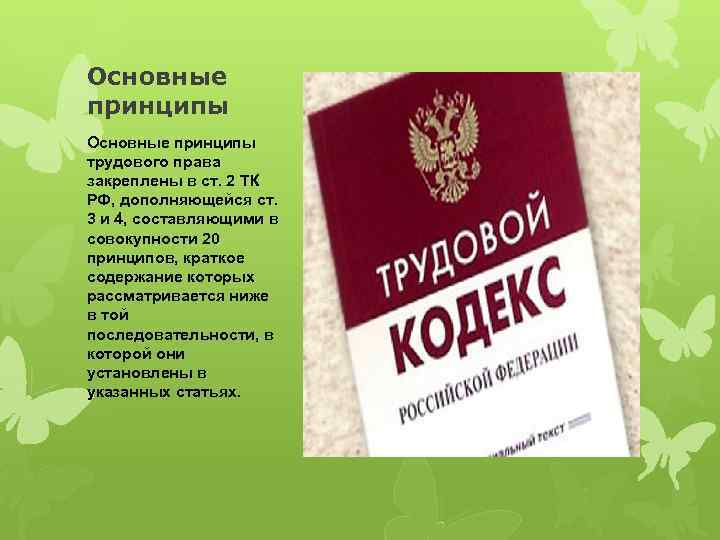 Основные принципы трудового права закреплены в ст. 2 ТК РФ, дополняющейся ст. 3 и