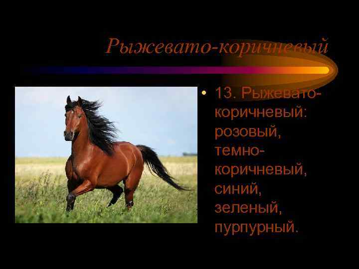 Рыжевато-коричневый • 13. Рыжеватокоричневый: розовый, темнокоричневый, синий, зеленый, пурпурный. 