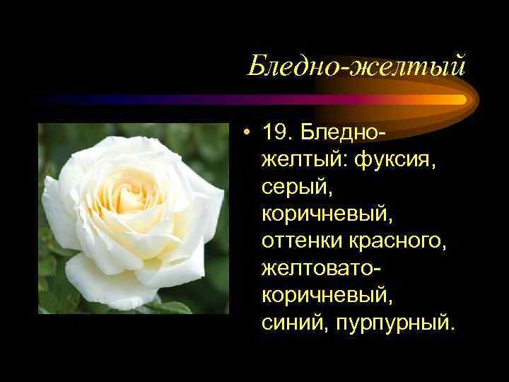 Бледно-желтый • 19. Бледножелтый: фуксия, серый, коричневый, оттенки красного, желтоватокоричневый, синий, пурпурный. 