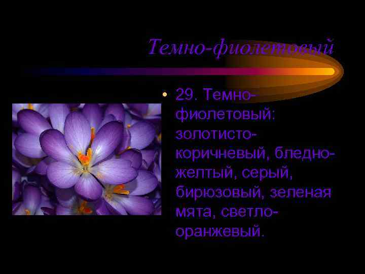 Темно-фиолетовый • 29. Темнофиолетовый: золотистокоричневый, бледножелтый, серый, бирюзовый, зеленая мята, светлооранжевый. 