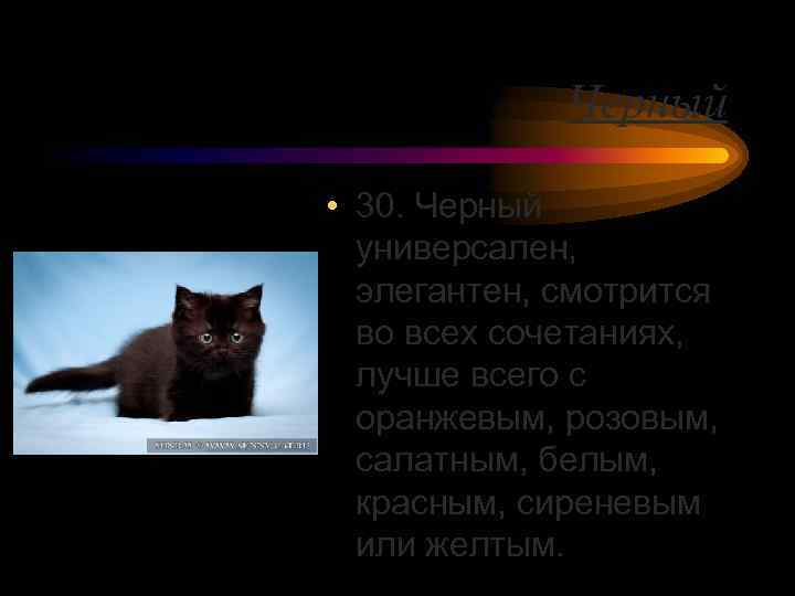 Черный • 30. Черный универсален, элегантен, смотрится во всех сочетаниях, лучше всего с оранжевым,