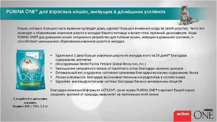 PURINA ONE® для взрослых кошек, живущих в домашних условиях Кошки, которые большую часть времени