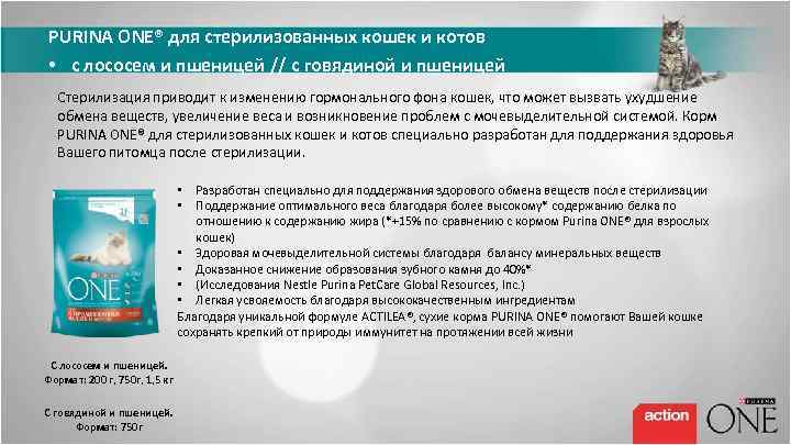 PURINA ONE® для стерилизованных кошек и котов • с лососем и пшеницей // с