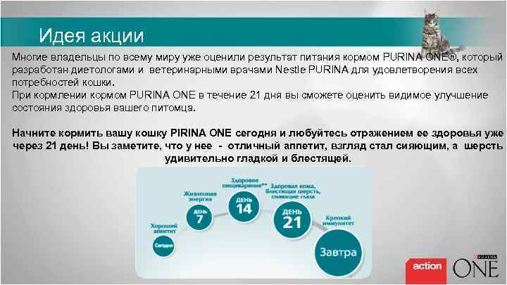 Идея акции Многие владельцы по всему миру уже оценили результат питания кормом PURINA ONE®,