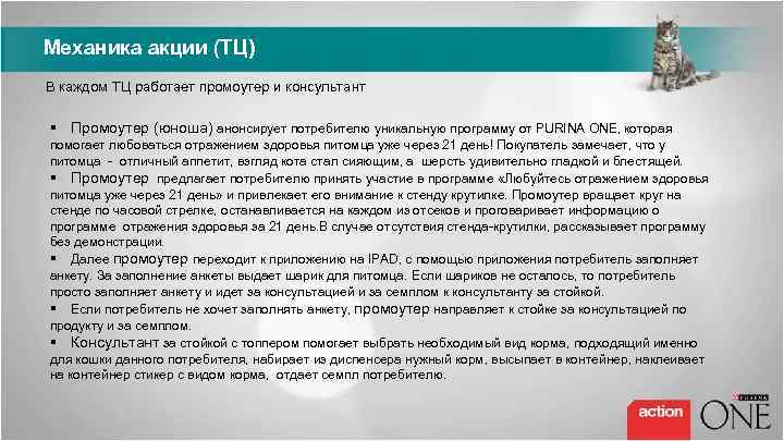 Механика акции (ТЦ) В каждом ТЦ работает промоутер и консультант § Промоутер (юноша) анонсирует