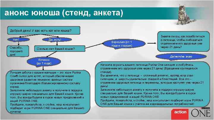  анонс юноша (стенд, анкета) Добрый день! У вас есть кот или кошка? Нет!