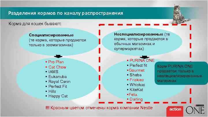 Разделения кормов по каналу распространения Корма для кошек бывают: Специализированные (те корма, которые продаются
