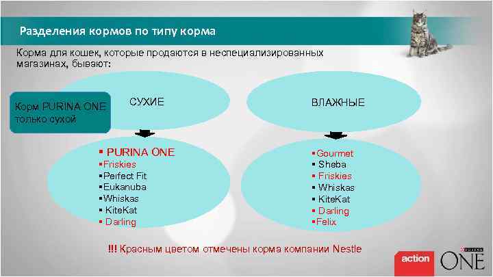 Разделения кормов по типу корма Корма для кошек, которые продаются в неспециализированных магазинах, бывают: